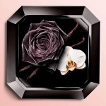 Lancôme, La Nuit Trésor EDP, Perfume Feminino - Imagem 4