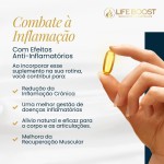 Ômega 3 Life Boost 120 Cápsulas | Ultra Concentrado com Selo MEG-3® de Pureza | Sem Gosto de Peixe - Imagem 4