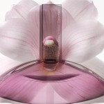 Calvin Klein Euphoria Eau de Toilette 100ml - Imagem 3