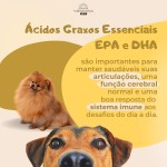 Ômega 3 Pets Para Cães E Gatos 500mg Epa Dha (120 Cápsulas) (2 Potes) - Imagem 3
