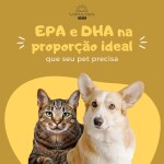 Ômega 3 Pets Para Cães E Gatos 500mg Epa Dha (120 Cápsulas) (2 Potes) - Imagem 4
