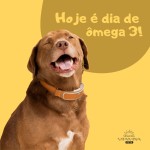 Ômega 3 Pets Para Cães E Gatos 500mg Epa Dha (120 Cápsulas) (2 Potes) - Imagem 6