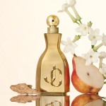 Jimmy Choo I Want Choo Le Parfum 100 ML - Imagem 3