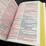 Biblia Feminina Letra Grande | Harpa & Corinhos | Capa Dura | RC | Lírios Lilás - Imagem 6