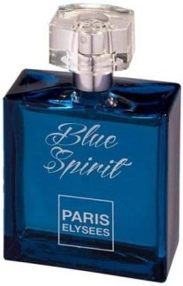 Blue Spirit Paris Elysees - Perfume Feminino - Eau De Toilette 100ml