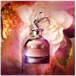 Scandal - Perfume Feminino Eau de Parfum, Jean Paul Gaultier - Imagem 3