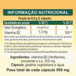 Riboflavina Vitamina B2 500mg Unilife 60 Cápsulas - Imagem 2