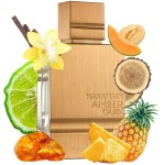 AL HARAMAIN AMBER OUD de Al Haramain, EAU DE PARFUM SPRAY 6.7 Onça (Edição Ouro) - Imagem 3