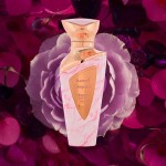Hamidi Legacy Collection Cleopatra para Eau de Parfum Spray unissex, 100 ml - Imagem 4
