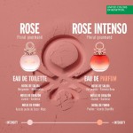Perfume Feminino EDP Rose Intenso, Rosa, Colors of Benetton, 80 ml - Imagem 5