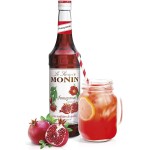 Xarope Roma Monin 700Ml Roma Monin Sabor - Imagem 2