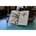 A Metamorfose: DIE VERWANDLUNG - Imagem 3