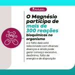 Magnésio Dimalato 100% Puro (01 und. 60 cápsulas) - Imagem 3