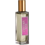Perfume Feminino LADYTOWN ROSÉ Primacial (30ml) - Imagem 2