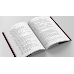 Chica da Silva - Chica que Manda - Imagem 4