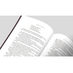 Chica da Silva - Chica que Manda - Imagem 6