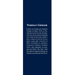 Eleitos, mas Livres: Uma Perspectiva Equilibrada Entre a Eleição Divina e o Livre-arbítrio - Imagem 3