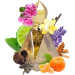 Al Haramain Hayati Gold - Perfume para mulheres e homens - Allure atemporal - Perfume doce com baunilha, almíscar e notas de bálsamo Tolu - Spray EDP de 95 g - Imagem 2