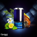 Al Haramain Opulent Sapphire para unissex - Perfume árabe para mulheres e homens - Fragrância amadeirada de longa duração - Notas de bergamota, jasmim, cedro, âmbar - Perfume árabe - Eau de Parfum - Imagem 2