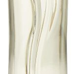 Linda Des. Colônia 100 ML