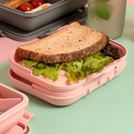 Sanduicheira Pote de Sanduíches Lancheiras e Marmitas com Fechamento Hermético Vai ao Microondas Freezer e Lava-louças (Rosa) - Imagem 4