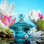 Perfume Curious Edp 100Ml, Britney Spears - Imagem 5
