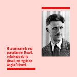 A revolução dos bichos - Imagem 3