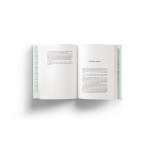 O escândalo da sufragista (Os excêntricos – Livro 4) - Imagem 2