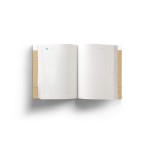Pai, me conta a sua história? (Tesouros de família): Um livro para dar e receber de volta - Imagem 3
