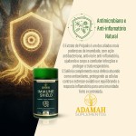 Immune Shield Suplemento para Imunidade e Defesa - Vitamina C + D3 2000UI + Zinco Bisglicinato + Própolis e Geleia Real - Complexo Vitamínico em Cápsulas de Colágeno - Adamah, 60 Cápsulas - Imagem 5