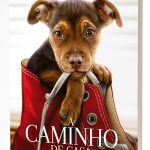 A Caminho de Casa