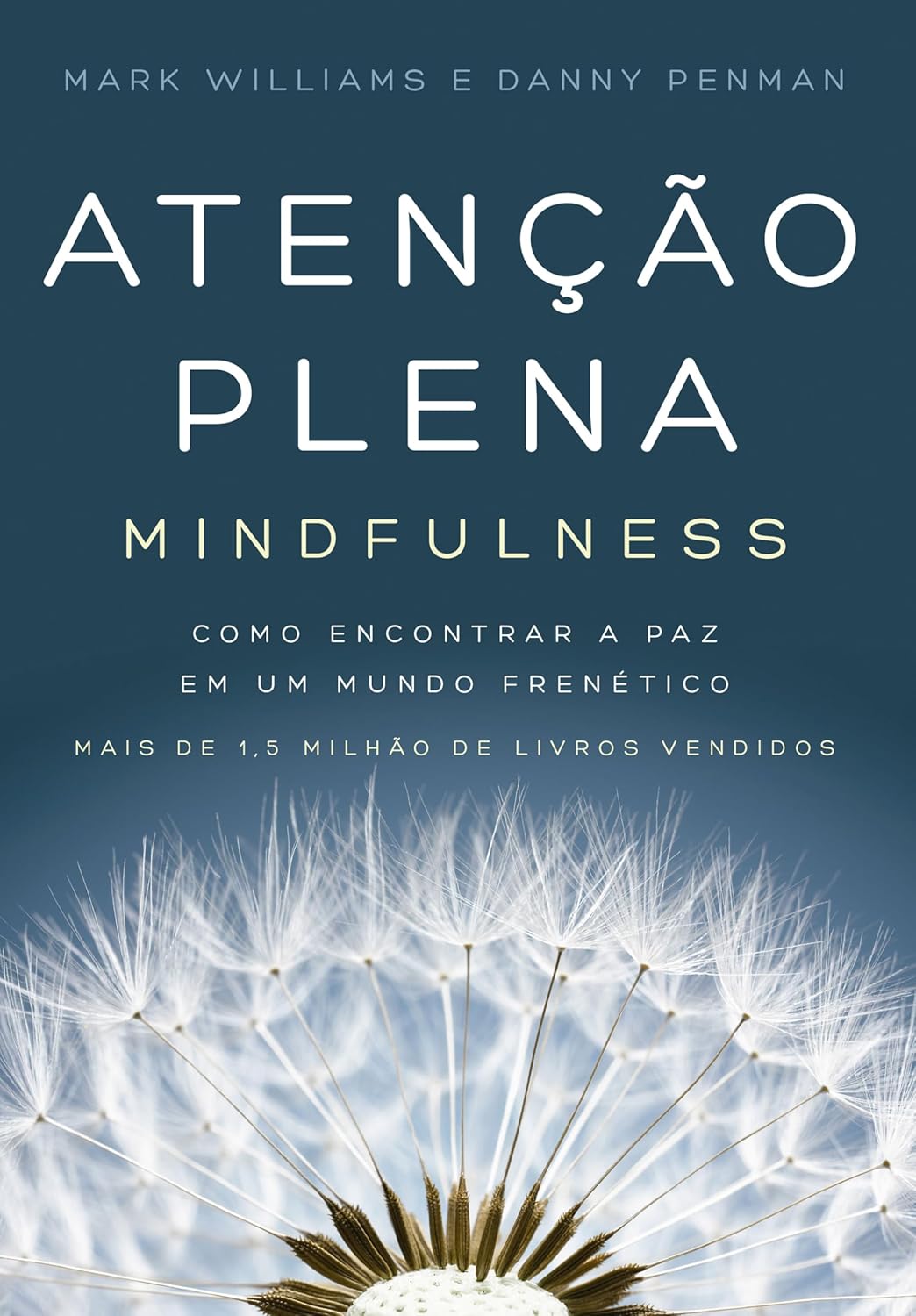 Atencao-plena-Mindfulness-Como-encontrar-a-paz-em-um-mundo.jpg Atenção plena (Mindfulness): Como encontrar a paz em um mundo frenético