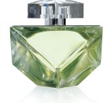 Britney Spears Believe Feminino - Eau De Parfum 100ml