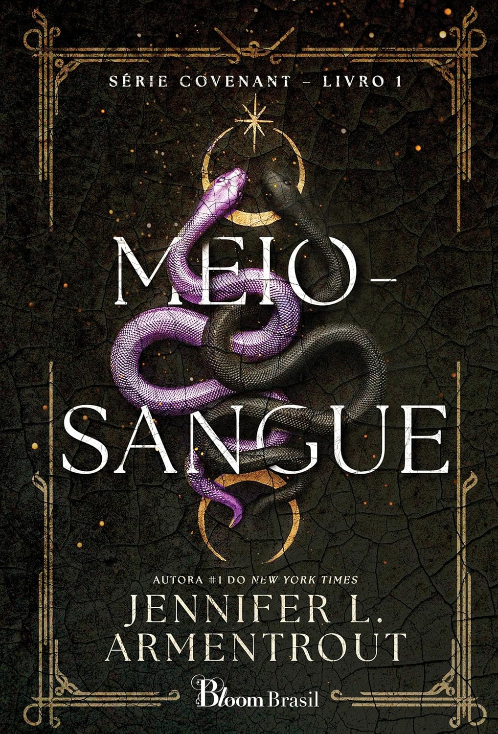 Meio-sangue-1.jpg Meio-sangue: 1