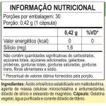 Silício Orgânico Ácido Ortosilícico 100mg Selo Siliciumax 30 Cápsulas Vegano Unilife - Imagem 2