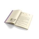 Amor à Primeira Raiva - Imagem 5