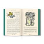 As Crônicas de Nárnia - Coleção de Luxo: A Cadeira de Prata - Imagem 4