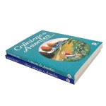 Universo Anne – Kit 2 Livros: Crônicas de Avonlea + Mais Crônicas de Avonlea - Imagem 5