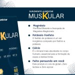 Muskular - Potássio, Vitamina D Vitamina B1 Vitamina B12 C/60 Cápsulas - Imagem 5