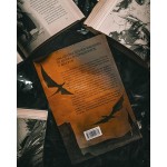 Fogo & Sangue – Volume 1 - Imagem 13