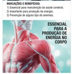 Metilcobalamina Vitamina B12 Bionatus Frutas Vermelhas Mastigável 60comp - Imagem 4