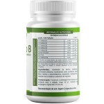 Complexo B 8 Vitaminas B12 B9 B6 Biotina B6 B5 B 500mg 60 Cápsulas EuAtivo - Imagem 5