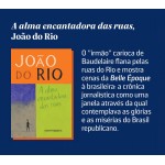 A alma encantadora das ruas: Crônicas - Imagem 4
