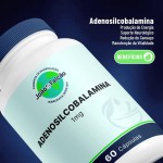 Suplemento Adenosilcobalamina (Vitamina B12) 1Mg - 60 Cápsulas de Tapioca Sublingual - Imagem 3