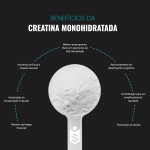 Creatina Monohidratada 600g - 100% Pura Importada - Soldiers Nutrition - Imagem 4