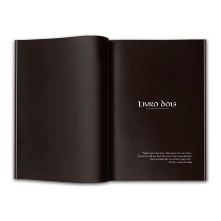 Crônicas de Raistlin Vol. 2 ― Irmãos de Armas