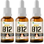 KIT 3X Vitamina B12 Sublingual (Metilcobalamina) 9,94 mcg por gota 20ml - Flora Nativa Sabor:Morango