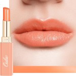 Oulac Batom Shine Orange Para Mulheres, Bálsamo Labial 2 Em 1 Com Tonalidade Coral Laranja Brilhante, Batom Hidratante Para Lábios Secos, Acabamento Brilhante E Suculento Vegano 2,2 G/0,07 Oz (21)
