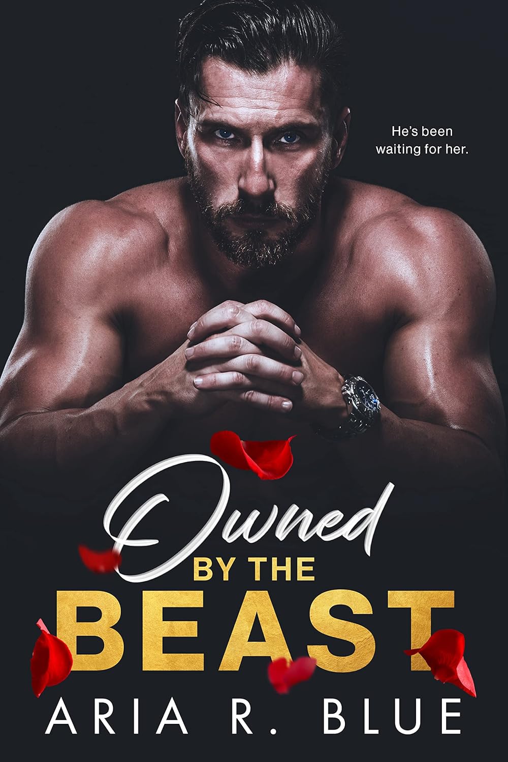 Owned-by-the-Beast-Um-romance-dark-de-mafia-com.jpg Owned by the Beast: Um romance dark de máfia com bebê secreto (Reinos Livro 1)