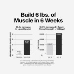 CREATINA PLATINUM MUSCLETECH 400GR (Embalagem pode variar) - Imagem 5